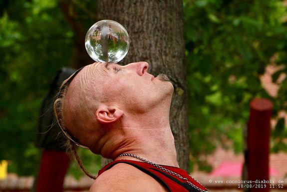 Click on the photo for the original