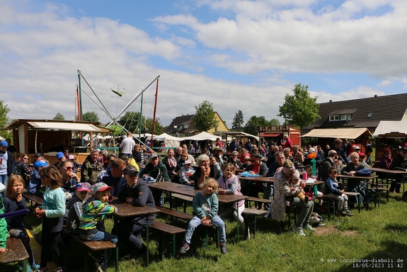 Click on the photo for the original